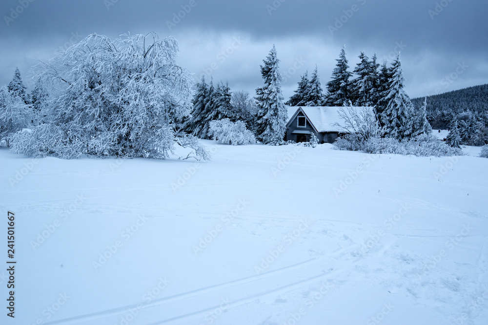 Leśna chata w górach zimą