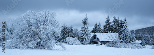Leśna chata w górach zimą