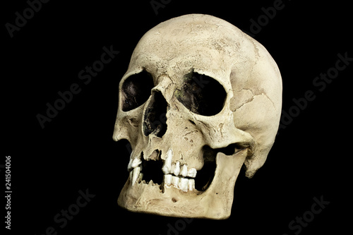 Human skull laid on black background