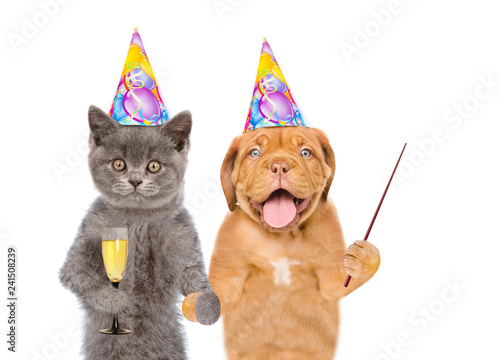 Cat and puppy in birthday hats with glasses of champagne pointing away on empty space. isolated on white background