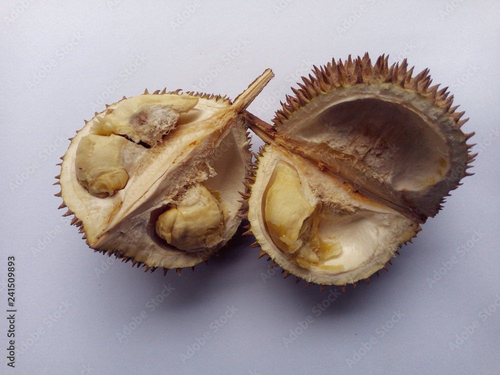 Fototapeta premium Tropical fruit call durians named on the white background 