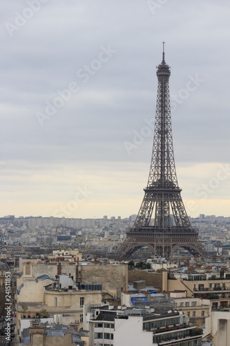 Eiffel Tower During Autumn day in Paris France With Copyspace