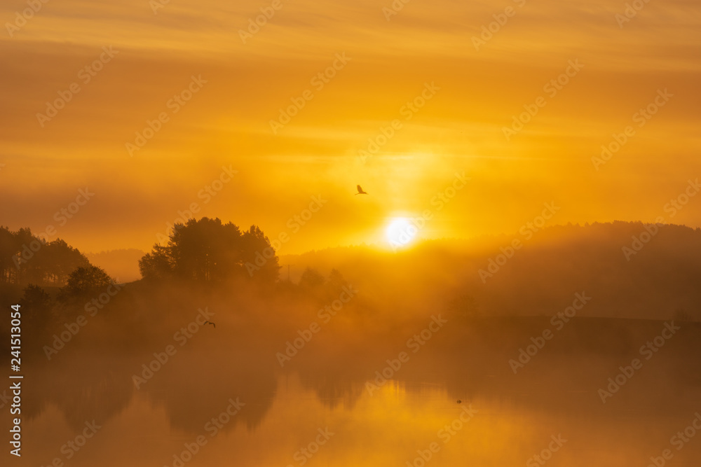 fairytale misty morning by the lake. Golden fog surrounding the lake fairytale misty morning by the lake. Golden fog surrounding the lake