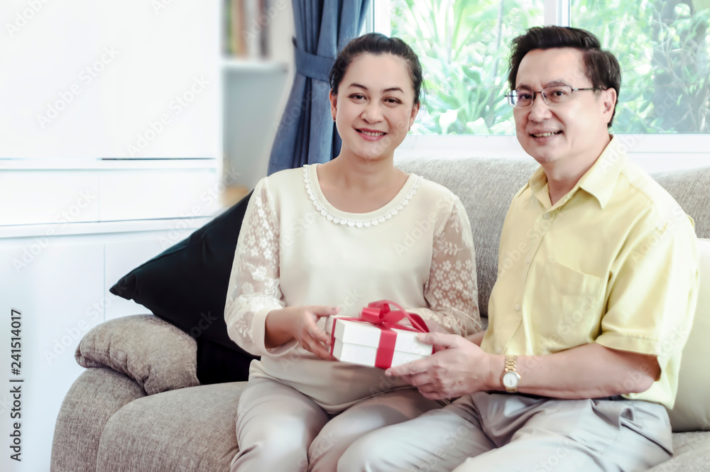 Happy senior couple exchanging gift box while relaxing at home. Happy senior couple exchanging gift box while relaxing at home.