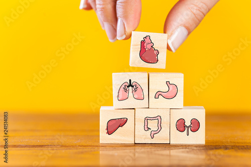 Hand arranging internal organ icons photo