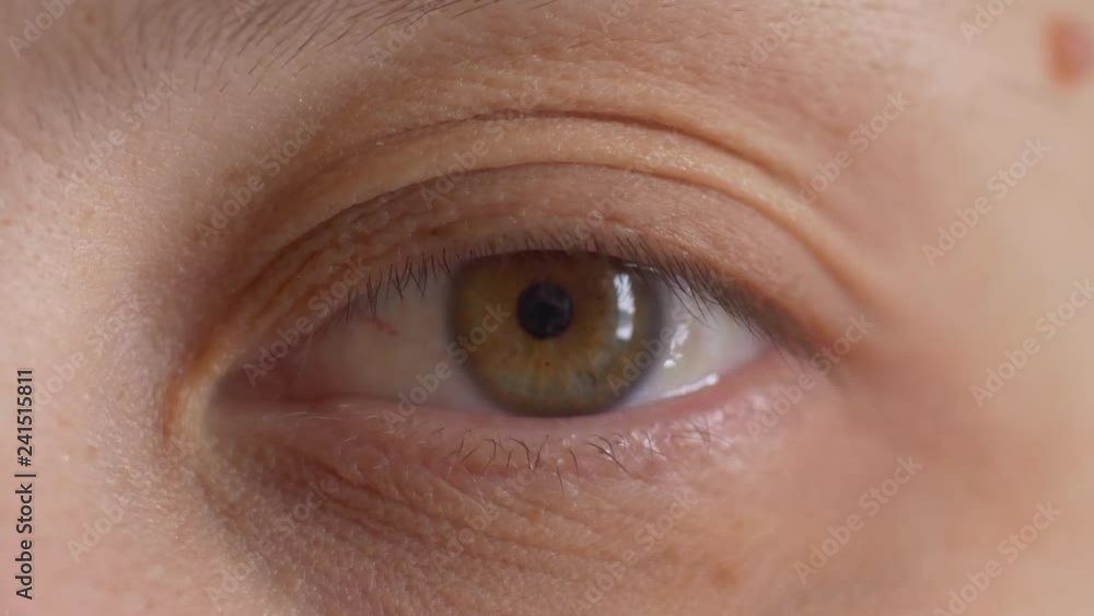 Human eye close up. Eyebrows, eyelashes, eyeball, pupil. Green-yellow color. Shallow focus, blur. Woman, 35 years old Human eye close up. Eyebrows, eyelashes, eyeball, pupil. Green-yellow color. Shallow focus, blur. Woman, 35 years old