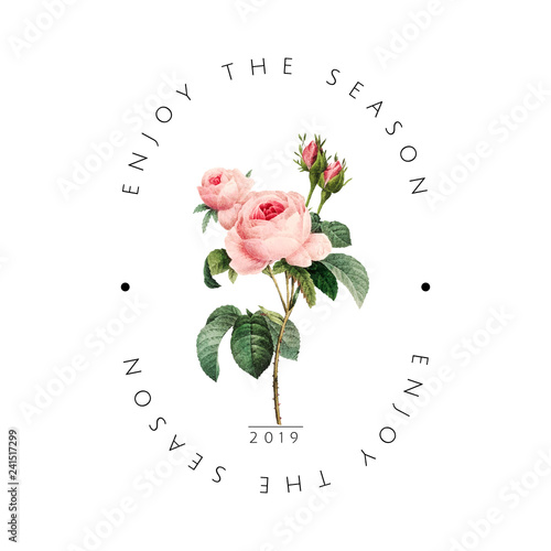 Hand drawn pink rose emblem vector