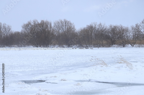 凍結した最上川　Frozen Mogami River © tera
