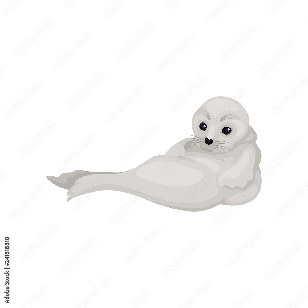 Flat vector design of funny gray seal pup. Adorable marine mammal with black shiny eyes. Arctic animal Flat vector design of funny gray seal pup. Adorable marine mammal with black shiny eyes. Arctic animal
