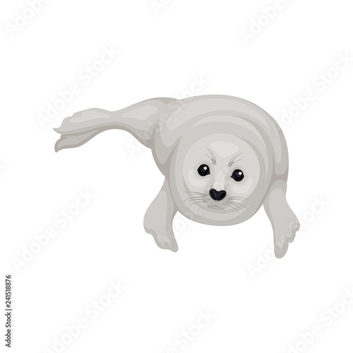Gray seal pup lying isolated on white background. Marine mammal with black shiny eyes. Arctic animal. Flat vector icon