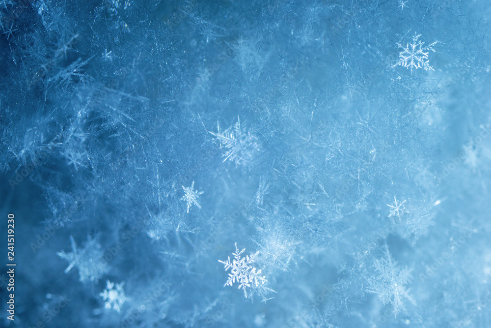 New Year and Christmas abstract icy snowy background with real snowflakes macro in cold blue tones. Cold winter background