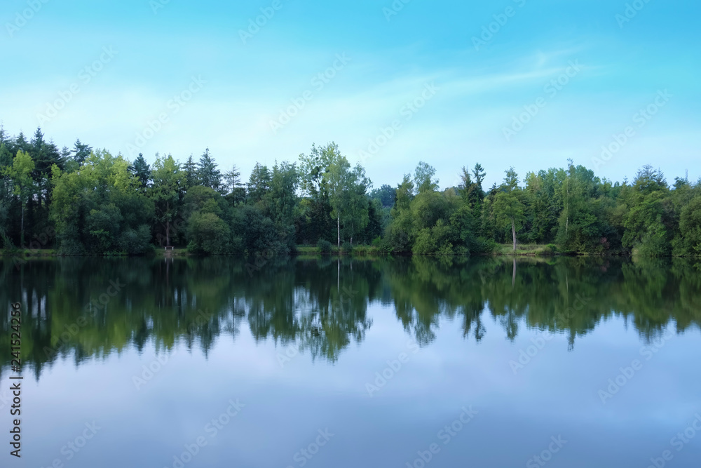Beautiful view of river and forest Beautiful view of river and forest