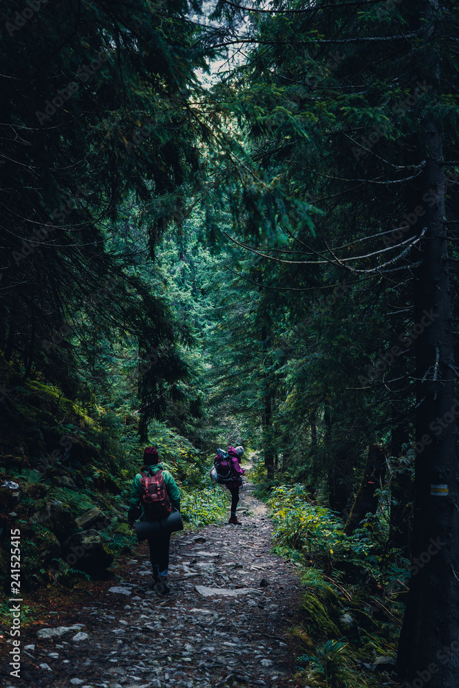 Fototapeta premium Ukraine, Carpathian mountains