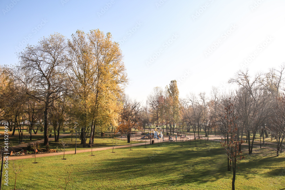 View of autumn park