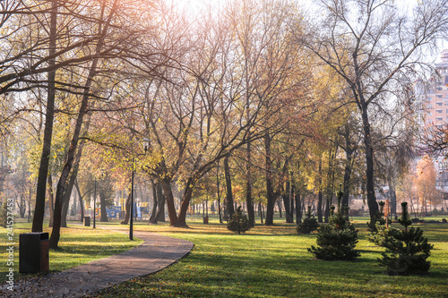 Autumn park pathway with go...
