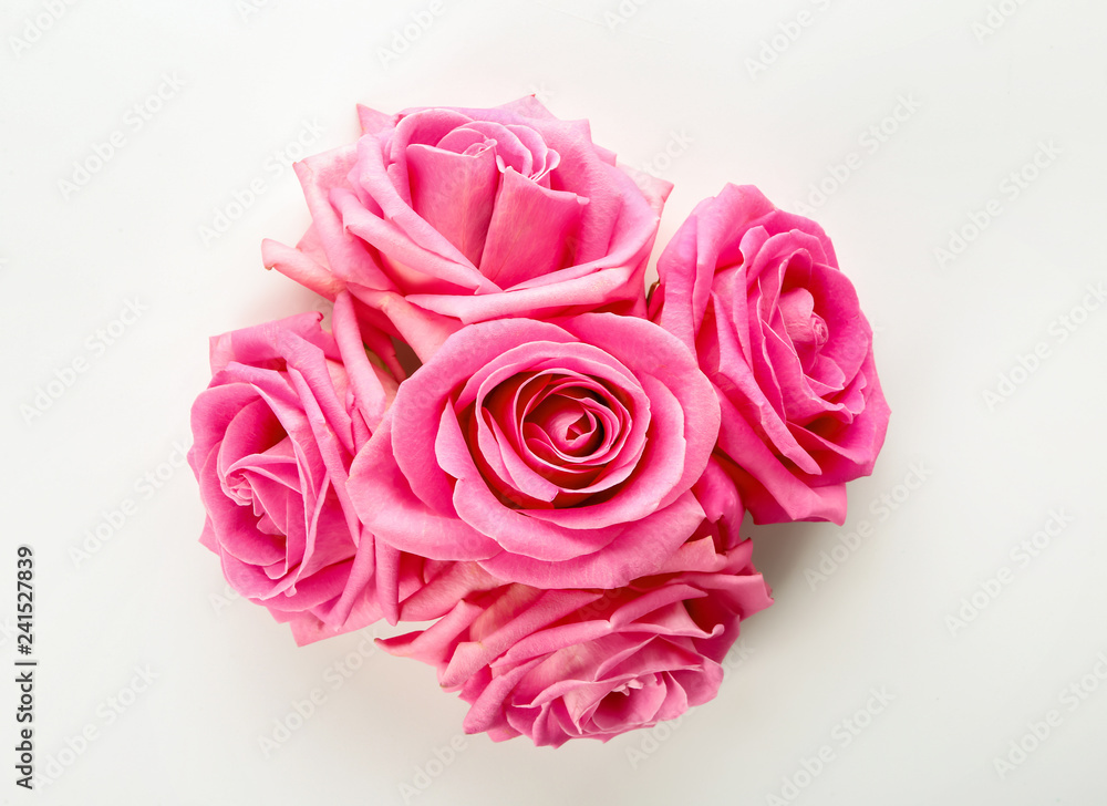 Beautiful pink roses on white background Beautiful pink roses on white background
