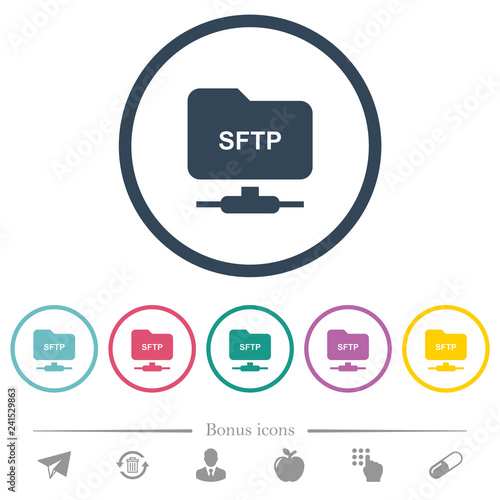 FTP over SSH flat color icons in round outlines