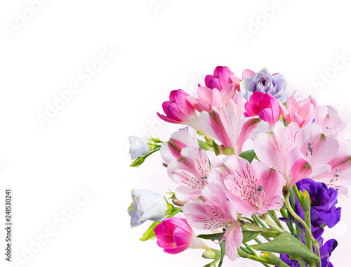 Spring flower isolated on white background