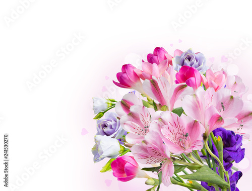 Fototapeta Naklejka Na Ścianę i Meble -  Spring flower isolated on white background