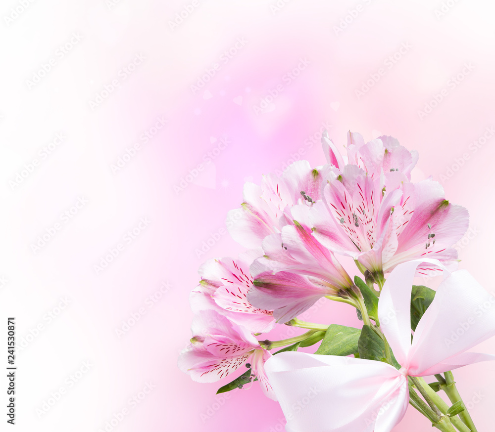 Spring flower isolated on white background. Valentine day Spring flower isolated on white background. Valentine day