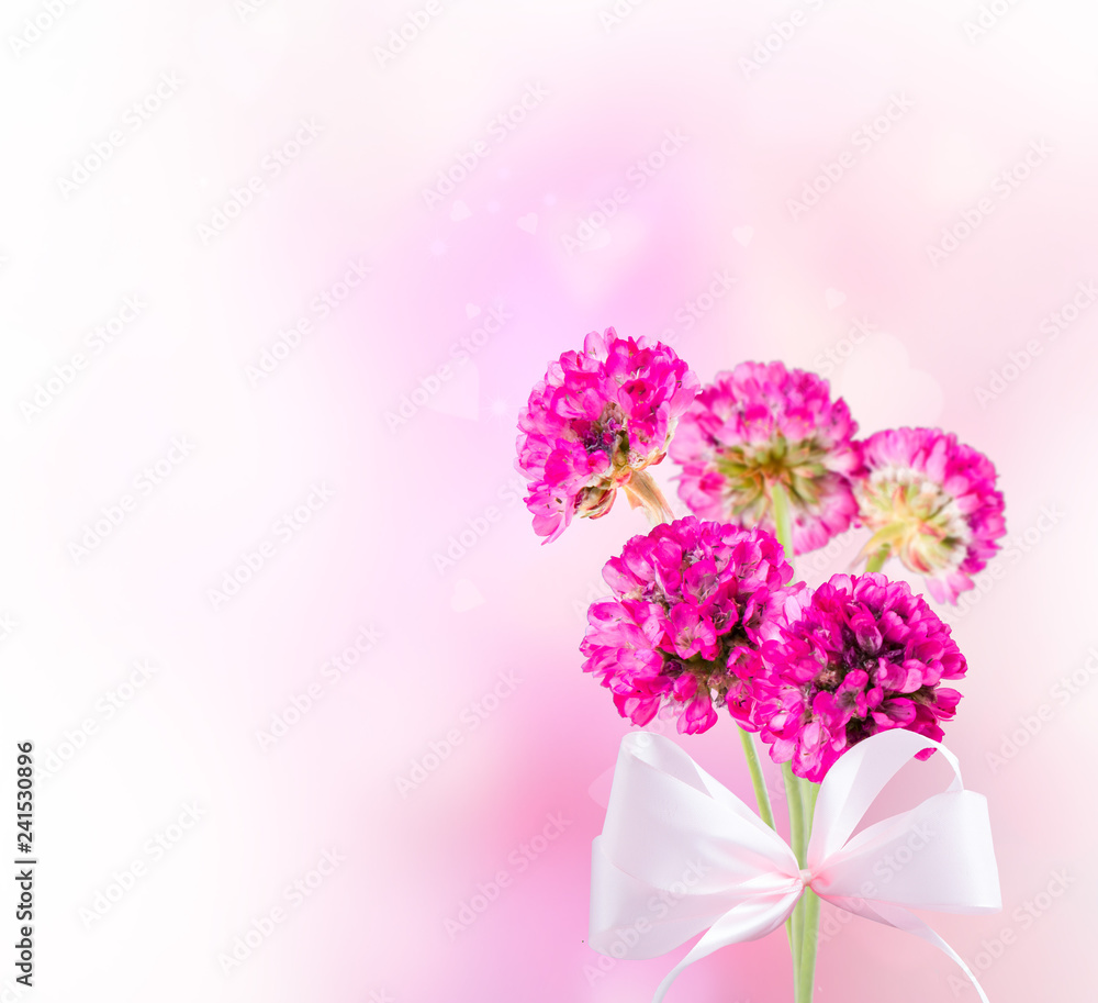 Obraz premium Spring flower isolated on white background. Valentine day 