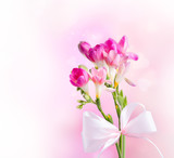Spring flower isolated on white background. Valentine day 