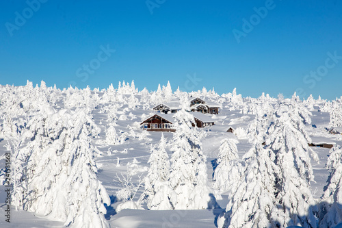 Winter landscape with snow and blue sky in Trysil mountain Norway photo