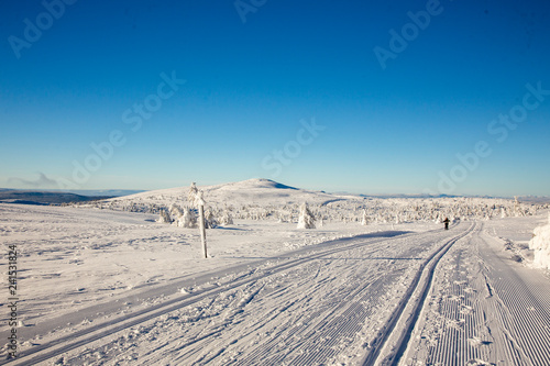 Winter landscape with snow and blue sky in Trysil mountain Norway