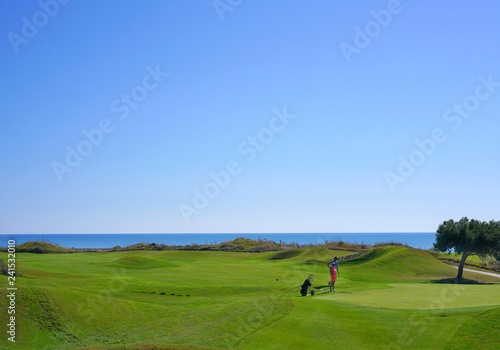 Links golf course and ball   © Selcuk