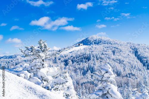 Wallpaper Mural 風景物語（志賀高原の冬） Torontodigital.ca