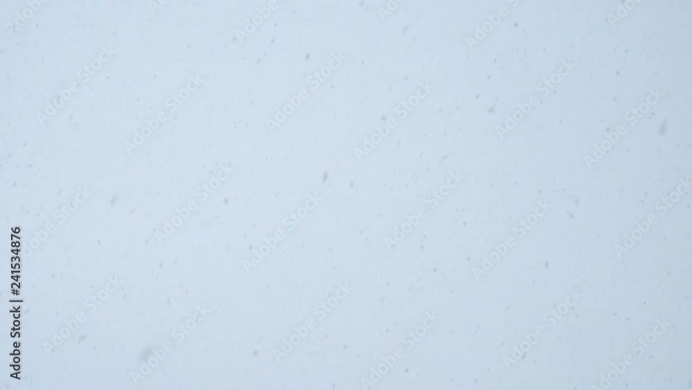 Snowfall on the background of the bright sky Snowfall on the background of the bright sky