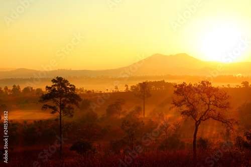 Beautiful sunrise or sunset with silhouette of jungle leaves and mountain view at Thung Salaeng Luang National Park  Phechabun  Thailand. Nature Landscape foggy with sunlight in morning and Landmarks 