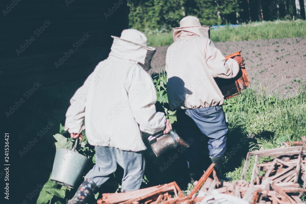 beekeeping beekeeping