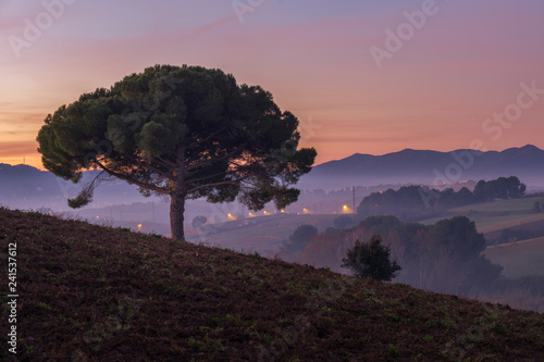 Amanecer en la pradera photo