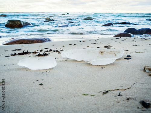 Baltic coastline near Tallin Tabasalu  Estonia  Baltics  Beach meadows