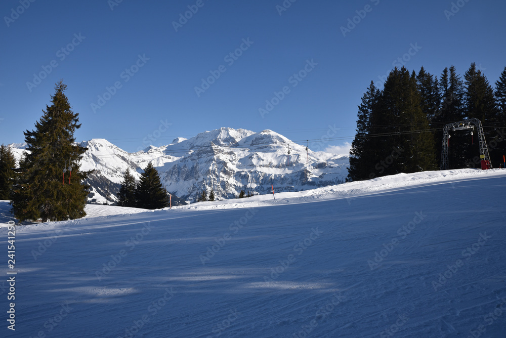 Pistes glacées de l'Oberland bernois, Suisse