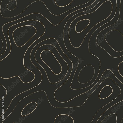Admirable topography map. Seamless design. Dramatic tileable isolines pattern, vector illustration.
