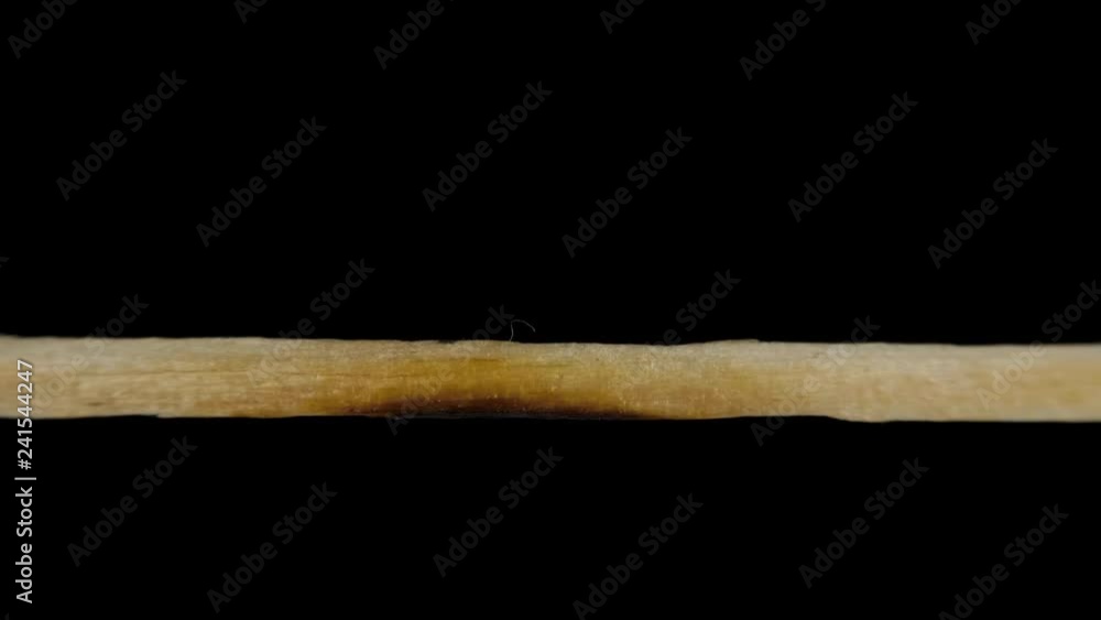 Macro fire burning on matchstick, studio shot isolated on black background Macro fire burning on matchstick, studio shot isolated on black background