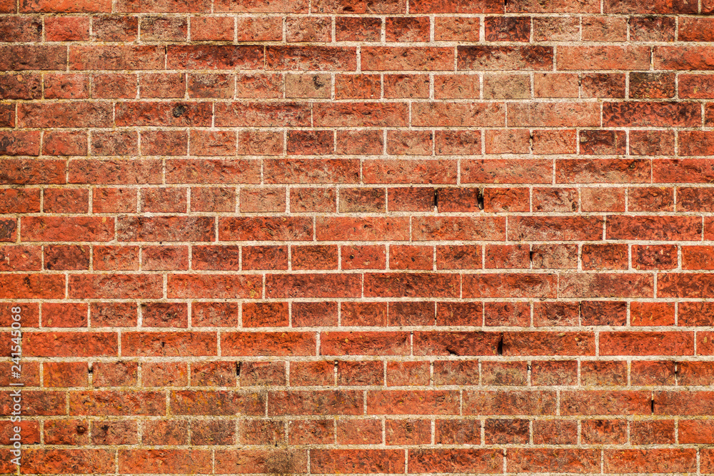 Fototapeta premium Backsteinwand