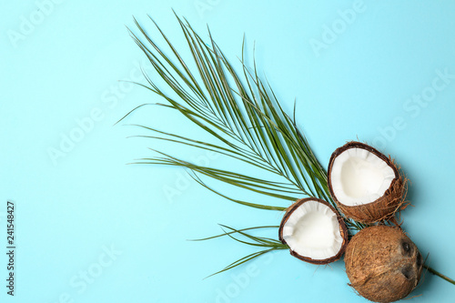 Green tropical leaf and coconuts on color background