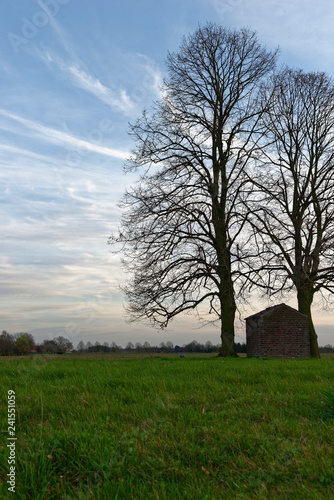 Linden mit Heiligenhäuschen