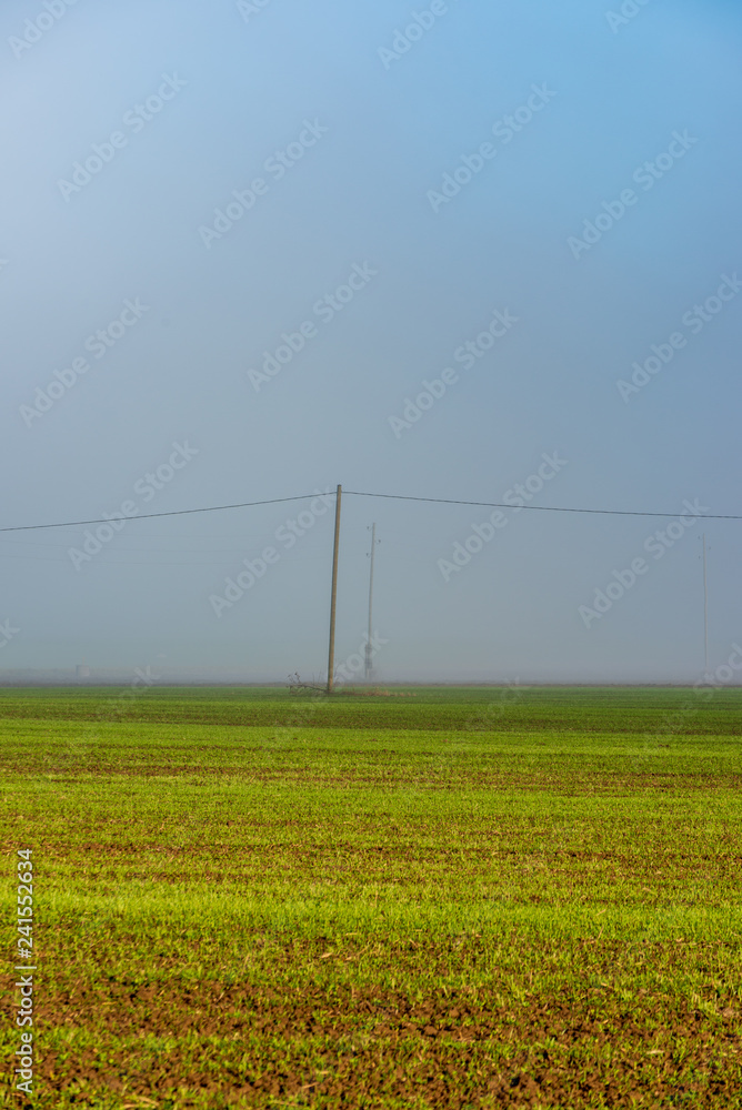 morning mist fog over meadows