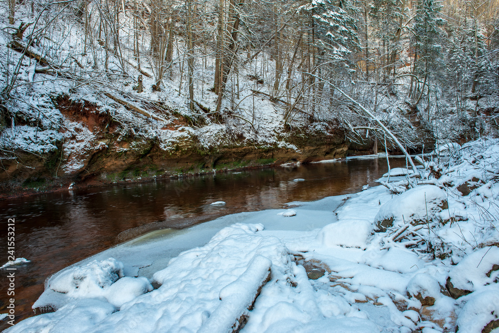 forest river in winter. Amata in Latvia
