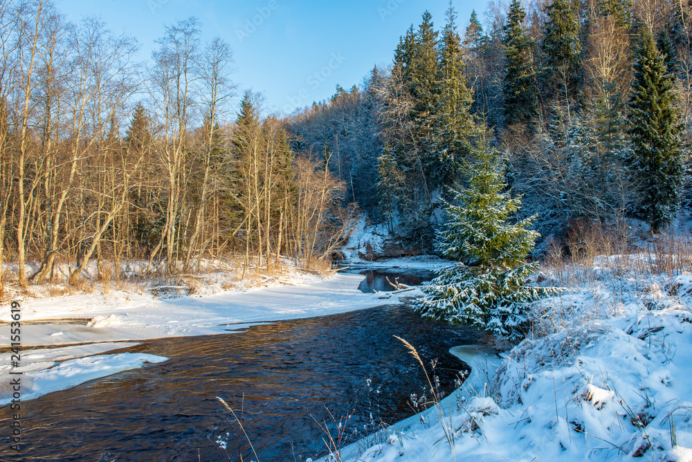 forest river in winter. Amata in Latvia