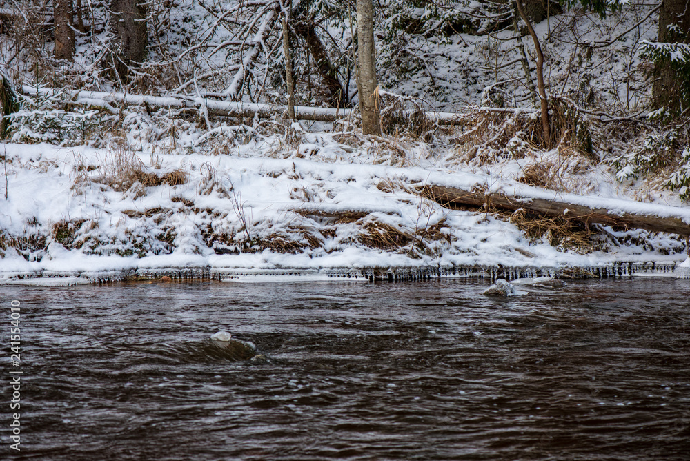 forest river in winter. Amata in Latvia forest river in winter. Amata in Latvia