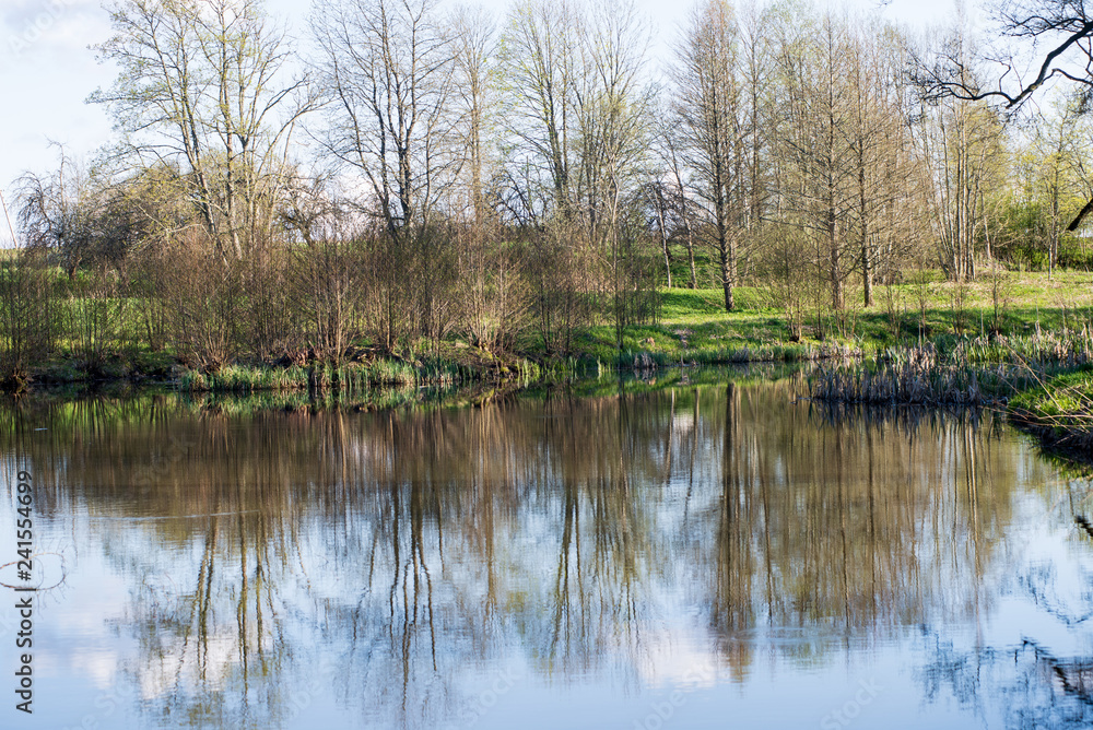 Fototapeta premium piękny letni dzień nad jeziorem, refleksy drzew w błękitnej wodzie