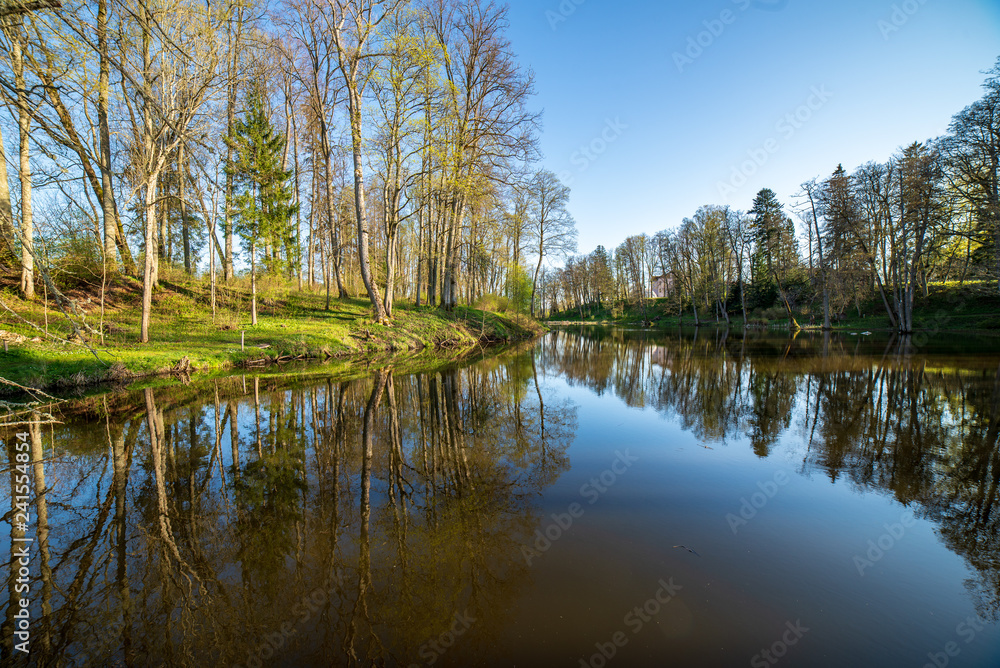beautiful summer day at the lake, tree reflections in blue water beautiful summer day at the lake, tree reflections in blue water