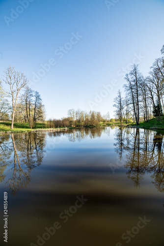 beautiful summer day at the lake, tree reflections in blue water