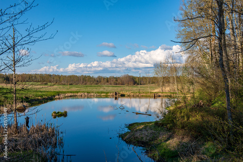 Fototapeta Naklejka Na Ścianę i Meble -  beautiful summer day at the lake, tree reflections in blue water