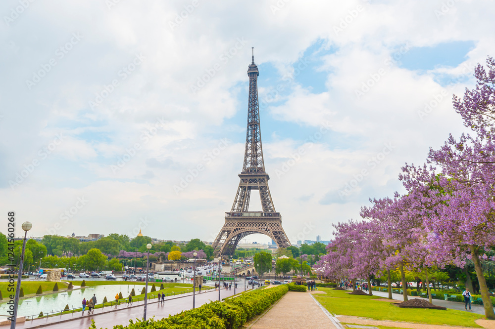 Fototapeta premium 朝のエッフェル塔